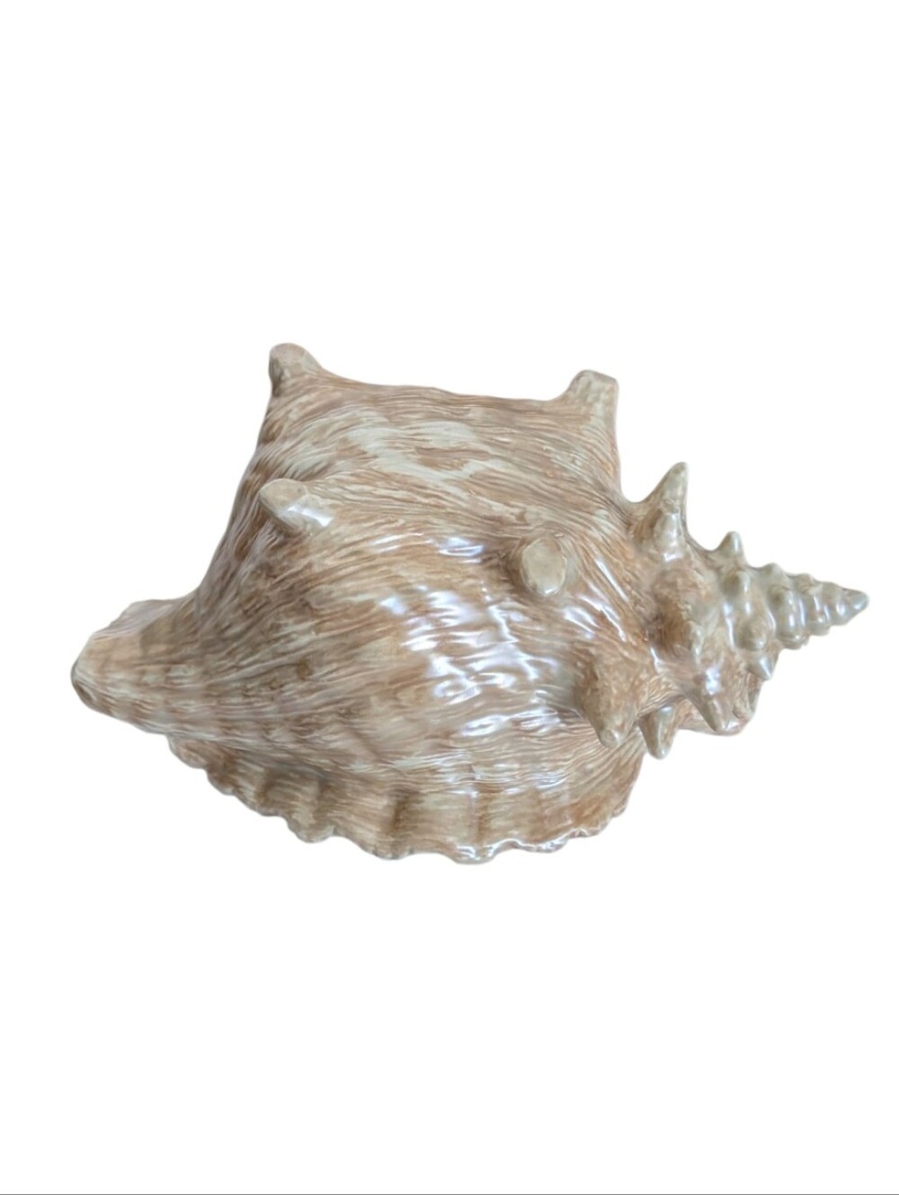 Pearlescent Beige Decorative Sea Shell Sculpture - Unbranded